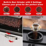 Galanz 2-in-1 Grind and Brew Coffee Maker with Adjustable Grind Size, Digital LED Touch Screen, Removable Coffee Filter Basket, Clean Indicator Light, 12-Cup, S - Image 3