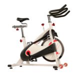 Sunny Health & Fitness 40lb Flywheel Belt Drive Indoor Cycle Bike w/ Clipped Pedals - SF-B1509